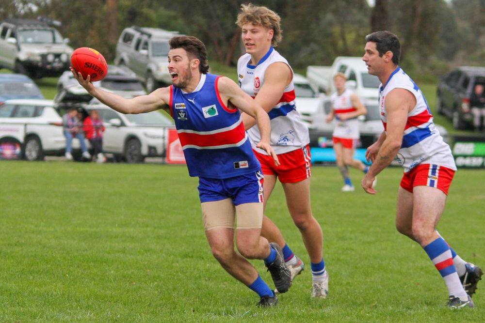 Bunyip beaten in Bulldog battle post image