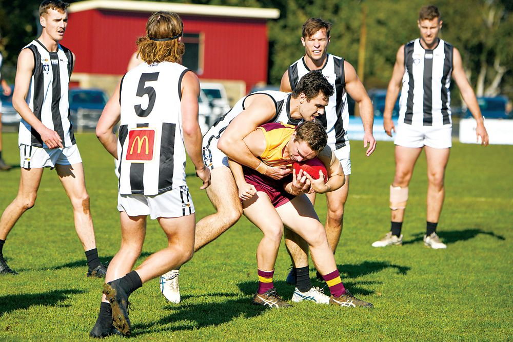 Hawks hoping to cause havoc, Gulls out to end drought post image