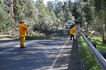 Storms wreak havoc post image
