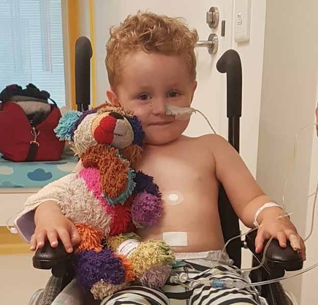 Ashton finds teddy post image