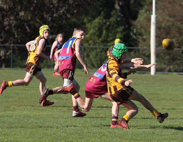Football Junior's (U12's) Warragul Colts Vs. Warranor - 14.08.2021 post image