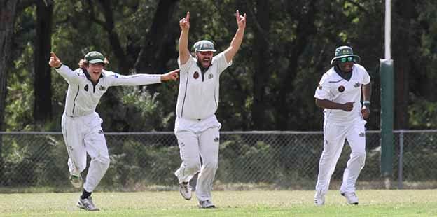 Hallora to play Western Park in WDCA grand final post image