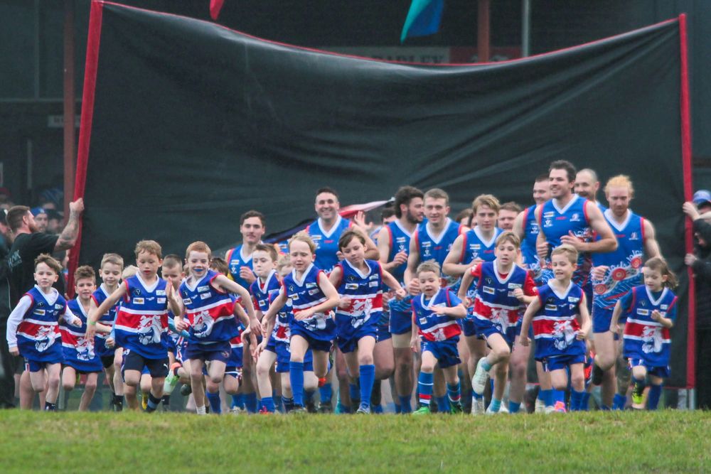 Bunyip set for EDFNL post image