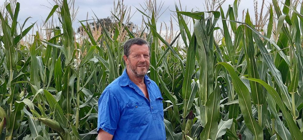 Nuffield research helps with farm succession post image