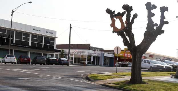 Tree to go for roundabout post image