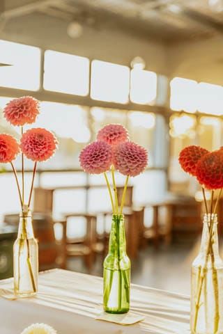 Warragul Show Friday (3rd) and Sunday (5th) - March 2023 post image