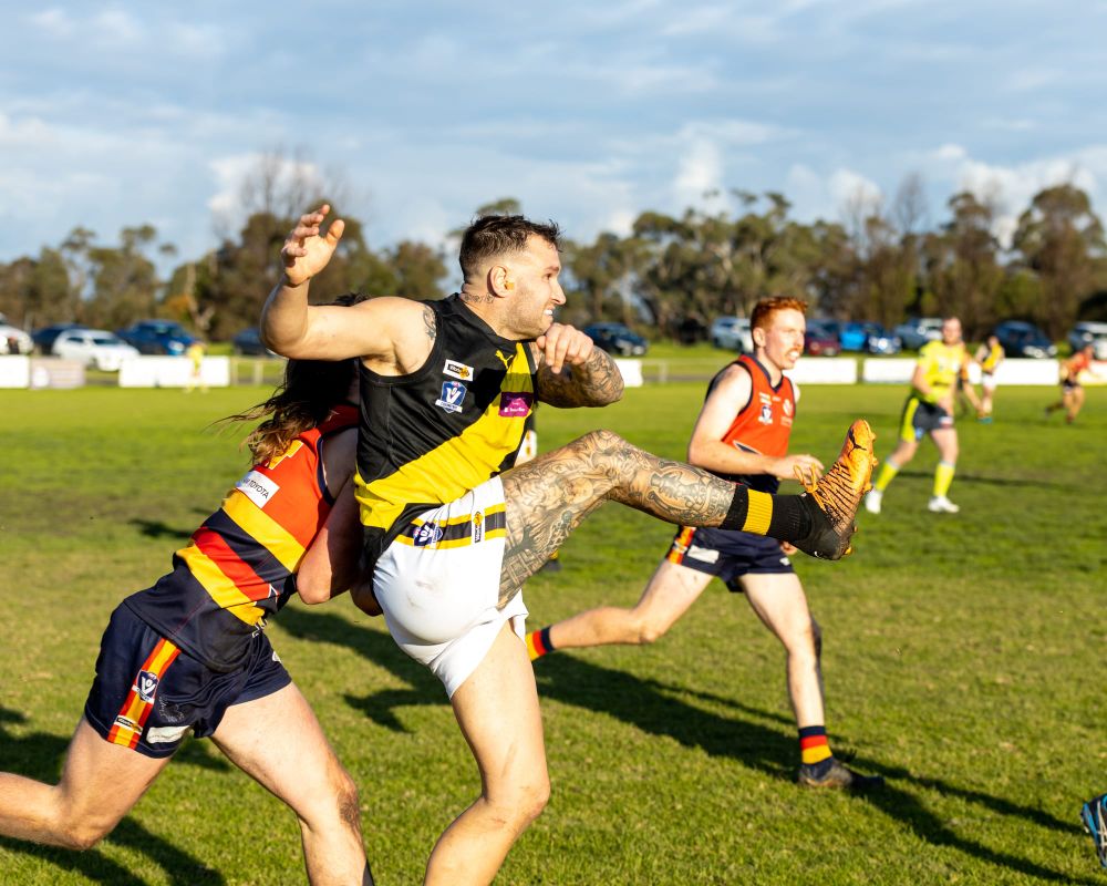 Can Tigers defeat Panthers to keep finals dream alive in EDFNL? post image