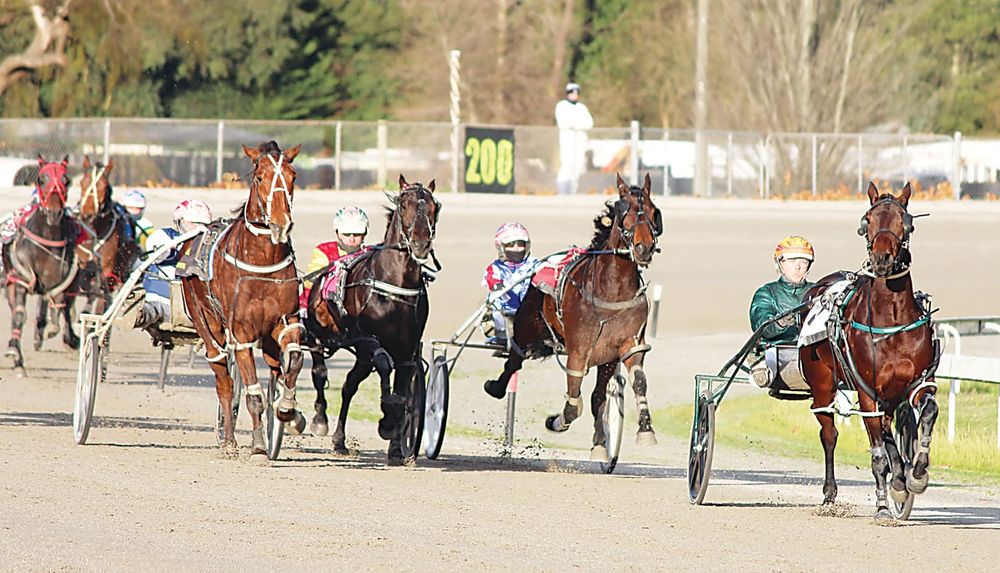 Fastest ever run at Warragul trots meet post image