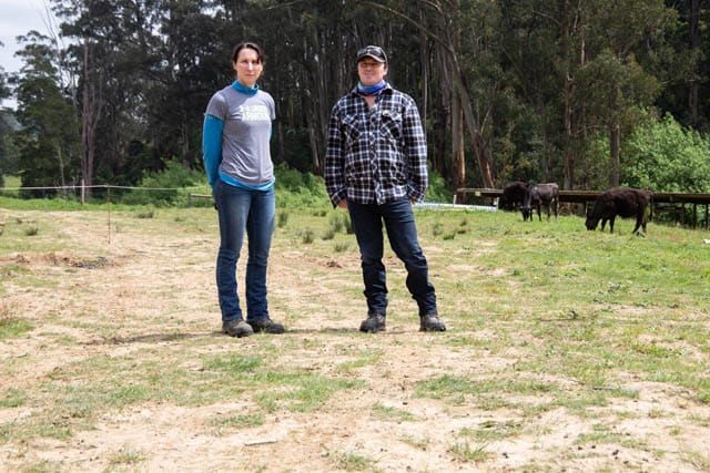 Ferndale Giibsons post image