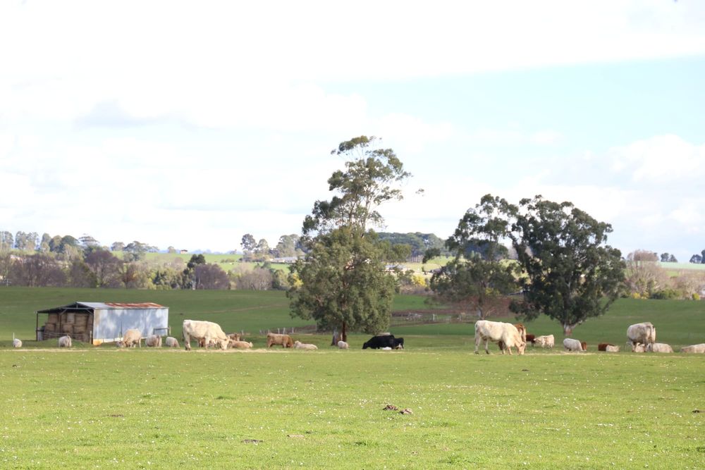 Objection to higher farm land rates post image