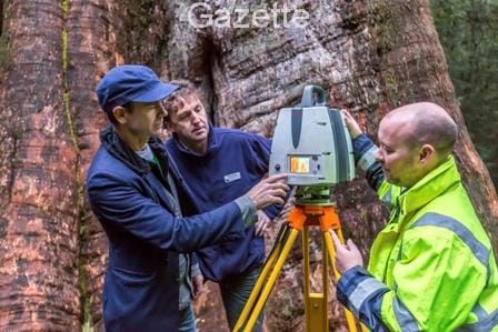 Giant about to arrive post image