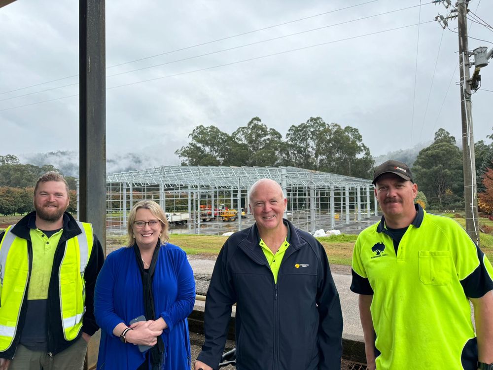 Timber jobs boost post image