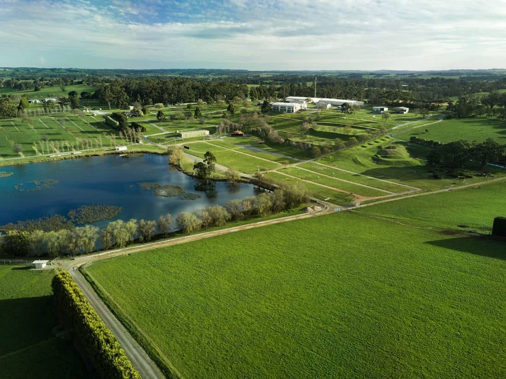 Start-up innovation explored post image