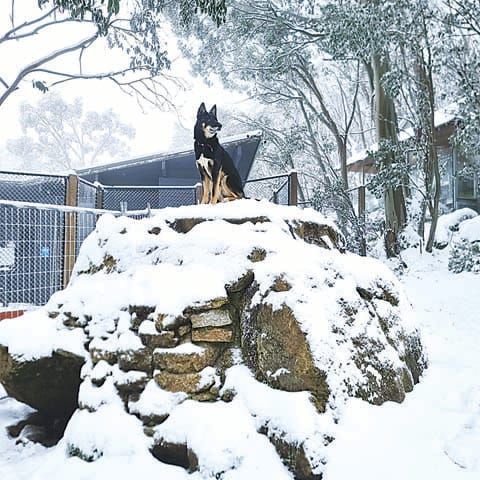 Photo - 09.05.2023 post image