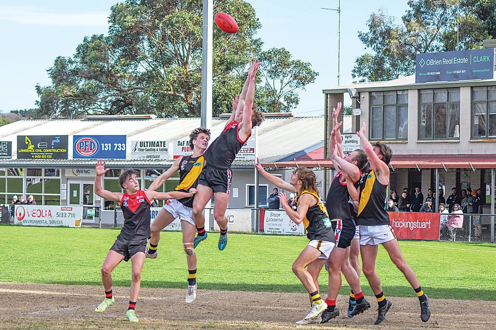 Gulls injury crisis continues in loss post image