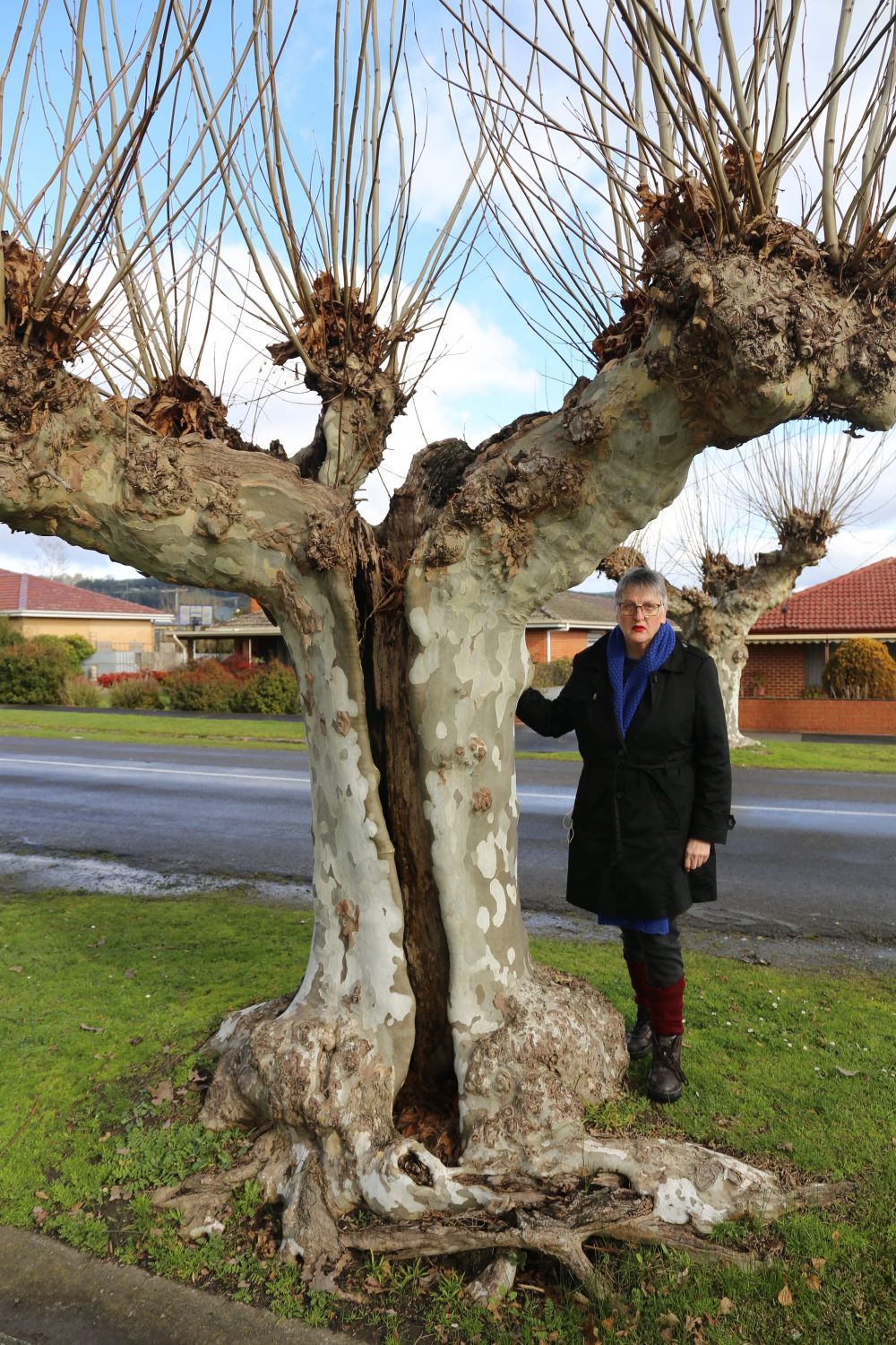 Action urged on Yarragon street post image