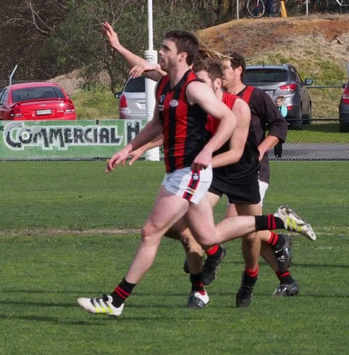 Fairy tale run to finals for Gulls post image