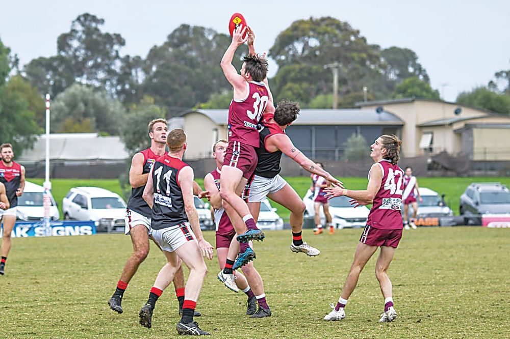 Lions lose first match post image