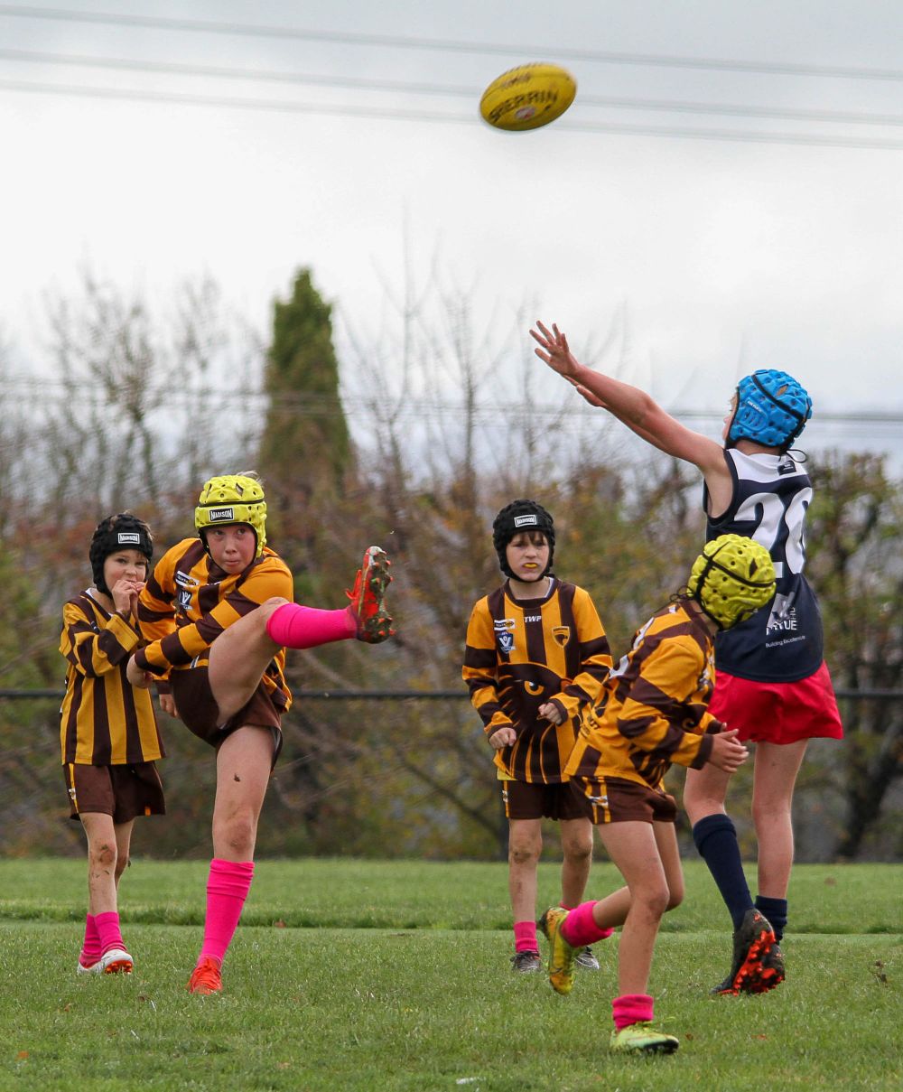 Football Juniors (U10's) Warranor Vs. Blues - 08.05.2022 post image