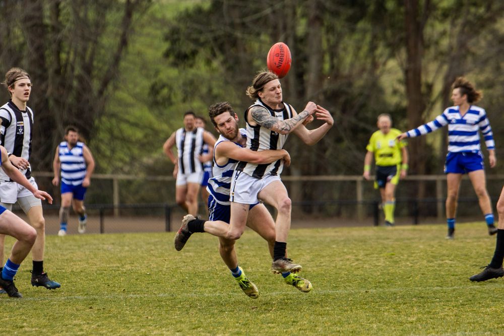 Will Pies end the Tiger dream in Ellinbank District footy? post image