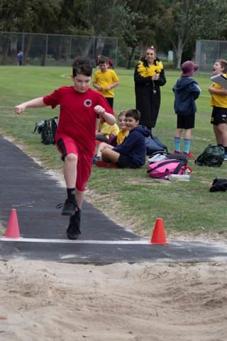 DWPS sports post image