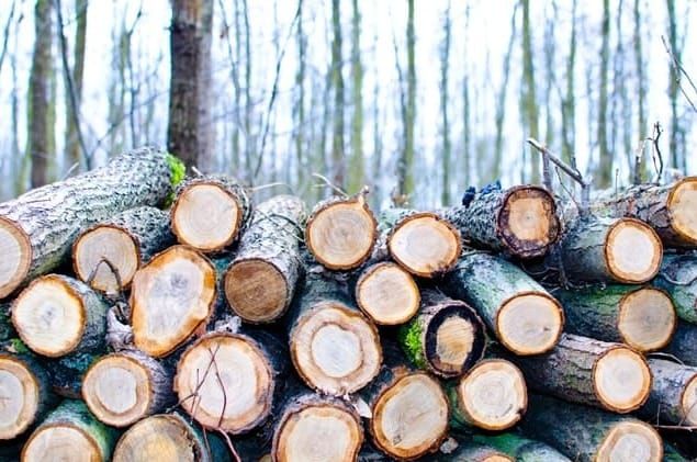 Firewood collection now open post image