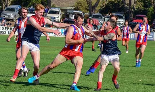 Bulldogs are benchmark post image