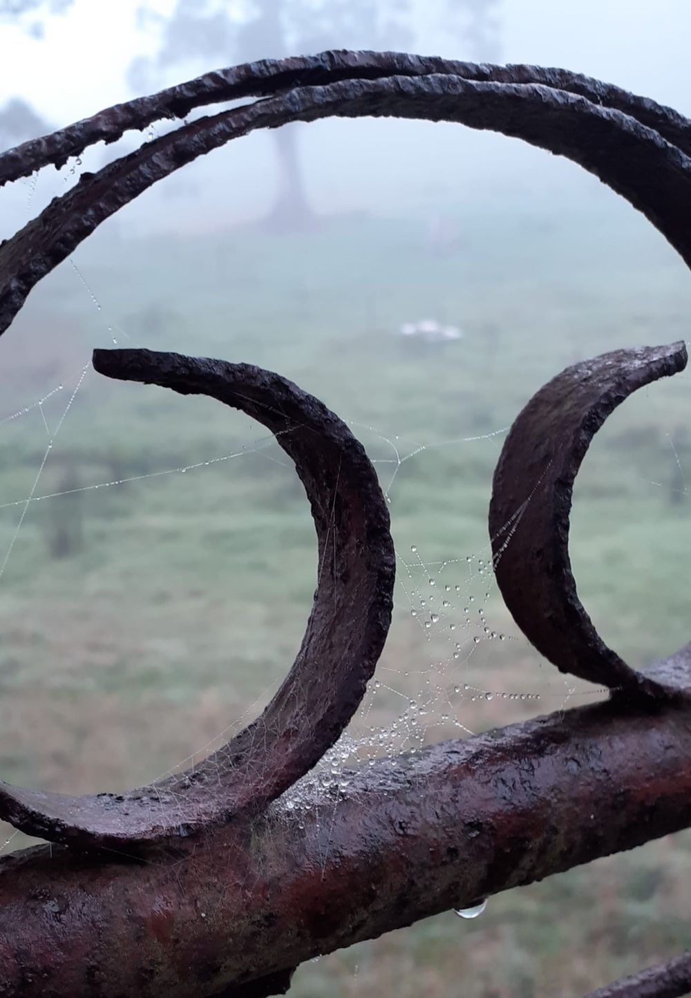 Last day tops April recorded rainfall post image
