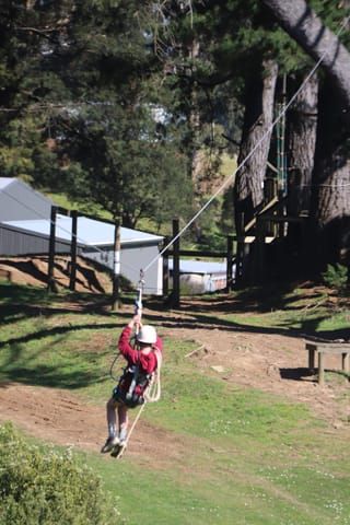 Photos - 05.10.2021 post image