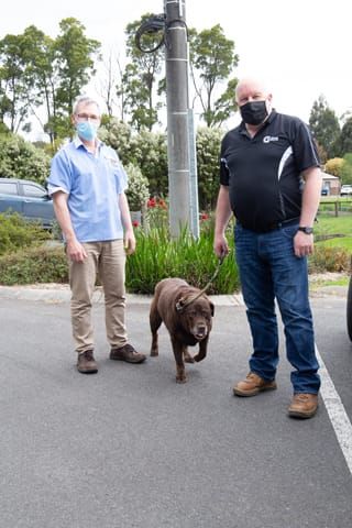 Vets Pet Care- 14.10.2021 post image