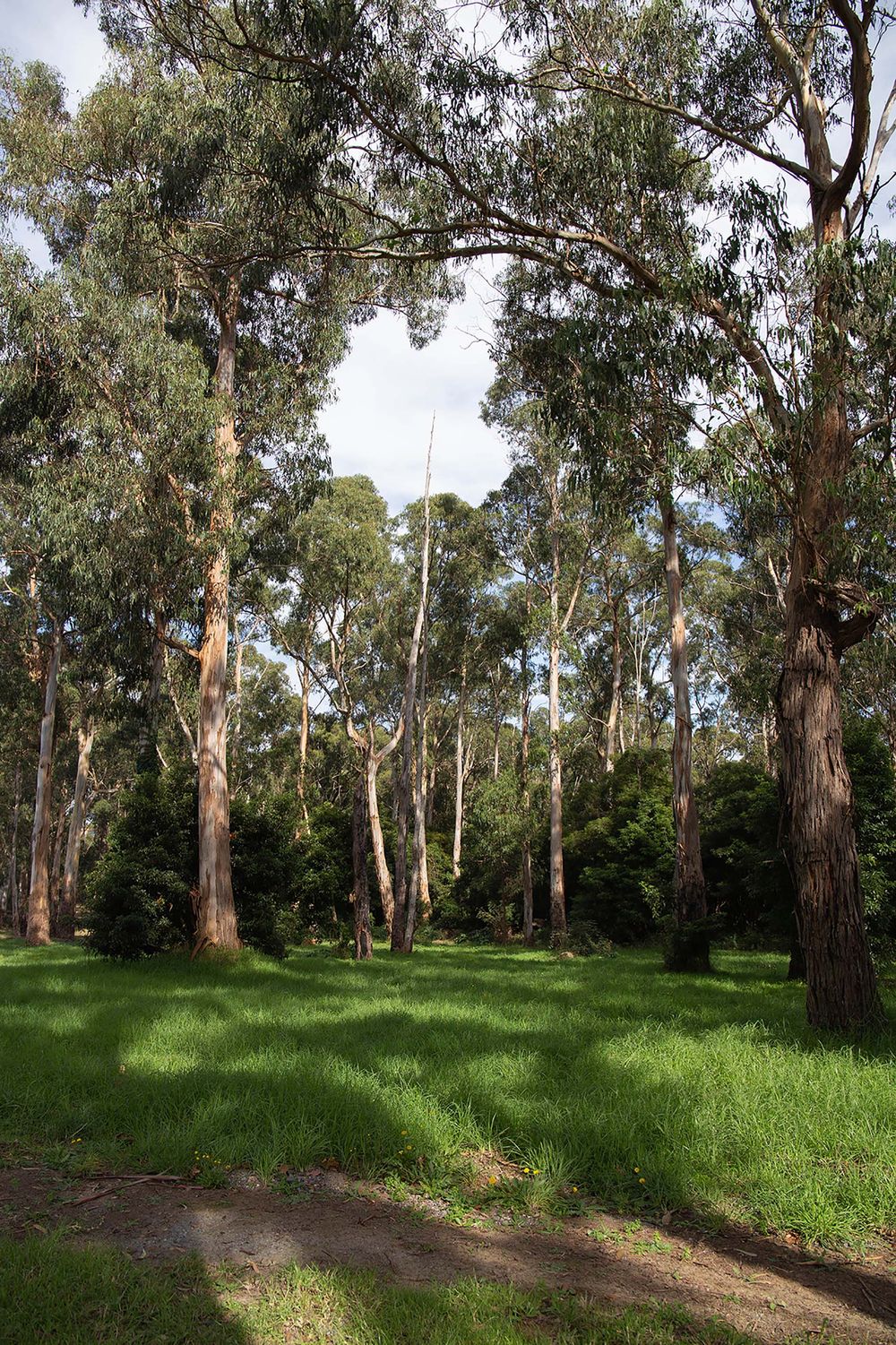 Roberts Court Drouin Plot - 14.04.2022 post image