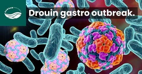 Gastro outbreak post image