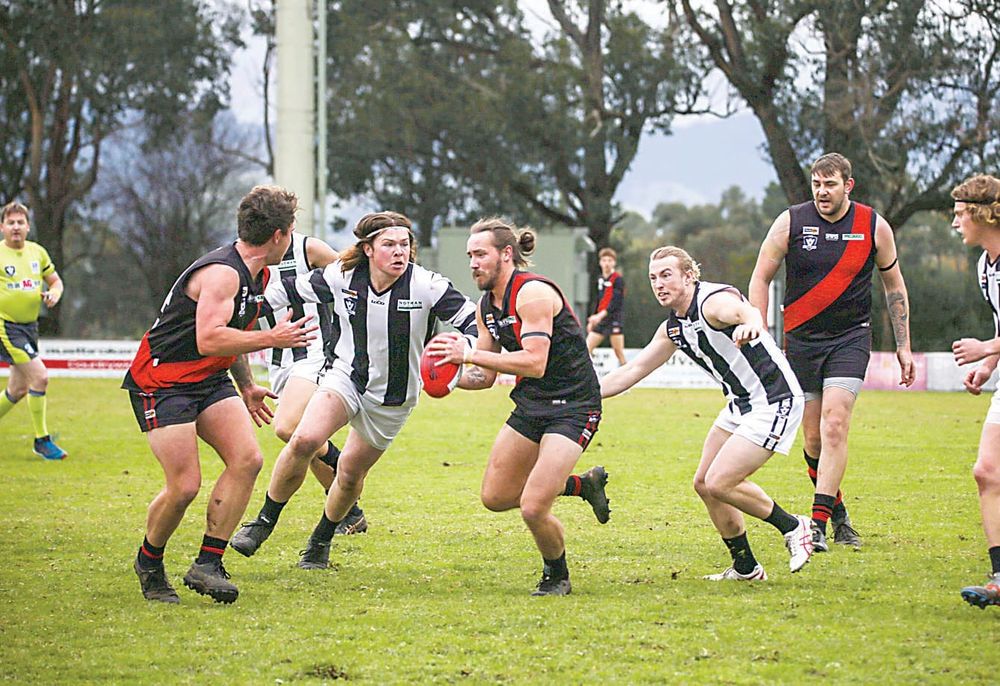 Magpies break from the pack post image