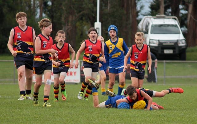 Football Junior (U12's) Ellinbank Vs. Longwarry - 02.05.2021 post image