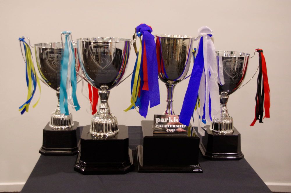 Netball cups up for grabs post image