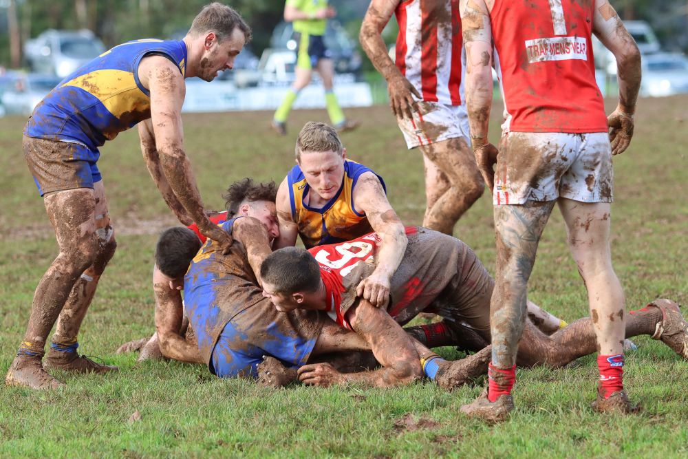 Conditions for mud lovers post image