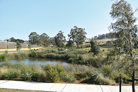 Wetlands take shape post image