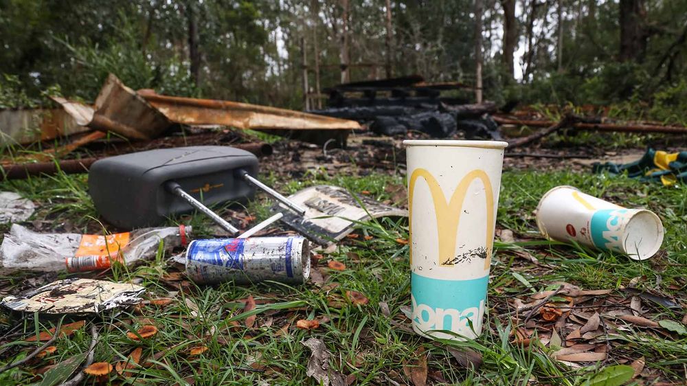 Community plea for bushland reserve post image