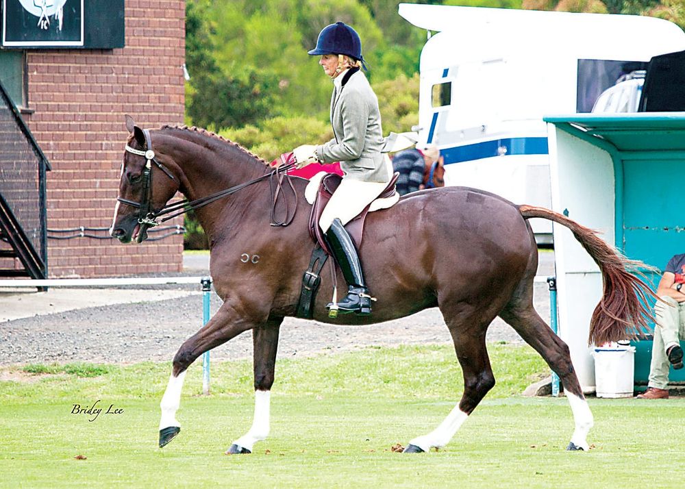Cup day Hack challenge post image