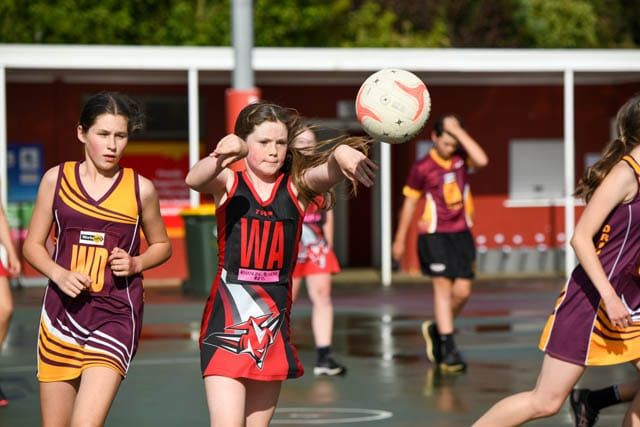Netball- Nilma Darnum Vs Drouin Hawks (13s & Under) 07-12-2020 post image