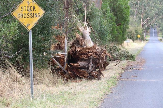 Storm Damage 20.02.2024 post image