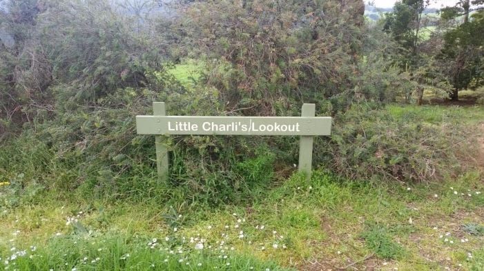 Do you approve of Little Charli? post image