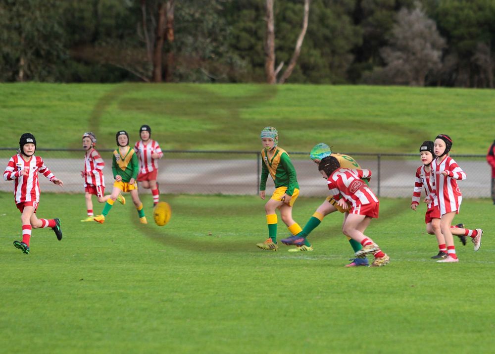 Football (U10's) Garfield Vs. Trafalgar - 25.06.2022 post image