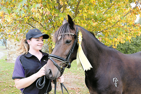 Impressive in dressage post image