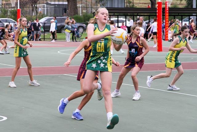Netball Liza Pharoah Tournament - 03.03.2024 post image