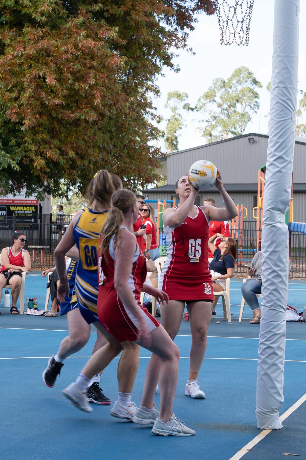 Netball EDFL post image