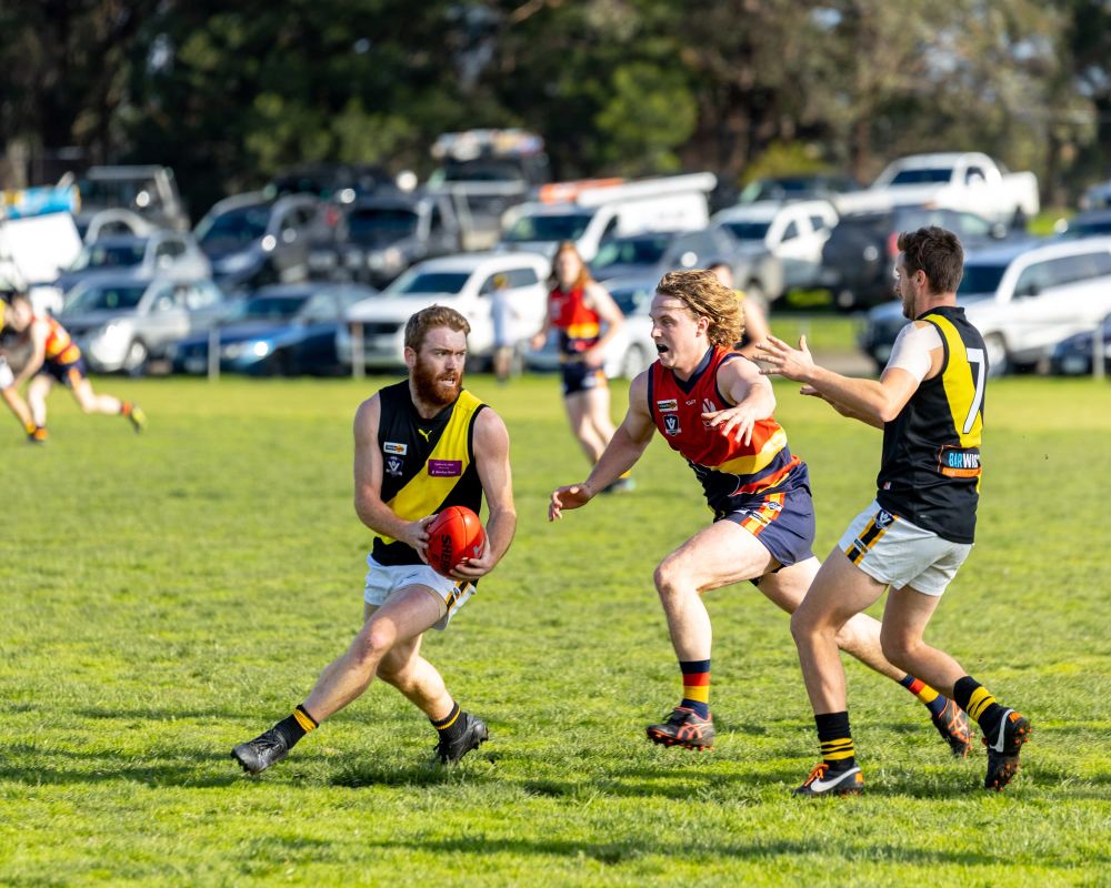 Tigers keep their season alive in Ellinbank District football post image