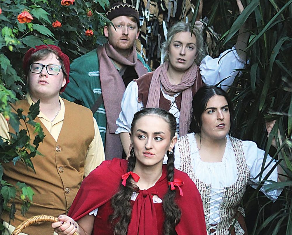 Many good moments in "Into the Woods" post image
