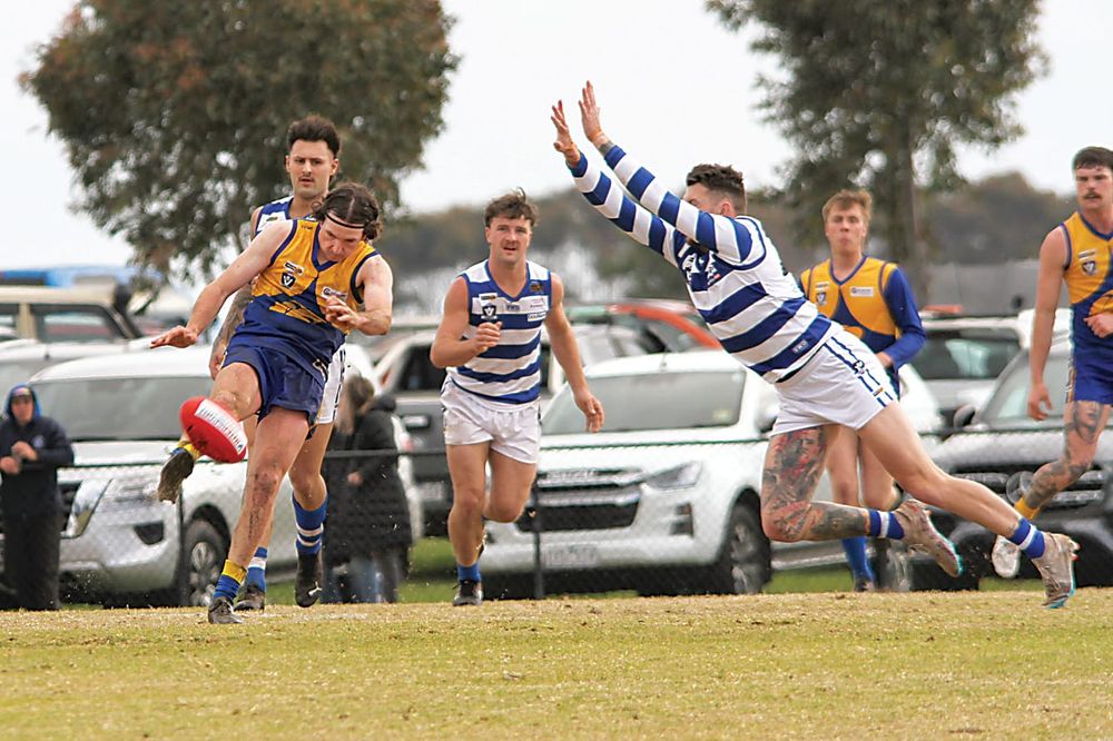 Cats cruise to grand final berth post image