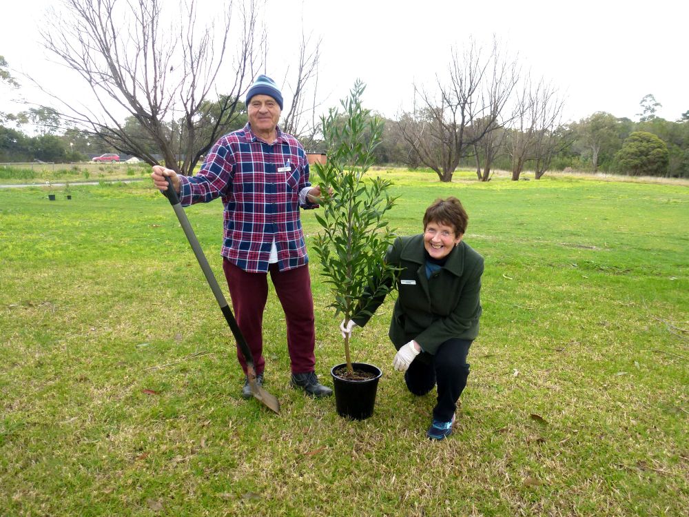 Bunyip plants the seeds for future growth post image